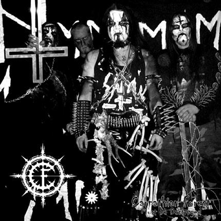 Carpathian forest